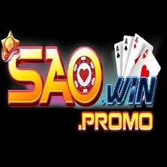 Saowin promo's profile picture