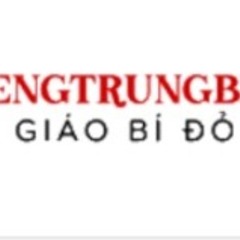 tiengtrungbidovn Bí Đỏ's profile picture