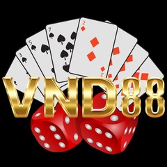 VND  88's profile picture