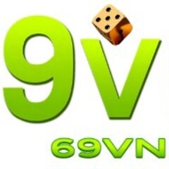 69VN Ch's profile picture