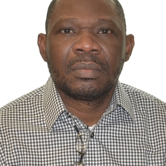 Seyi Olokede's profile picture