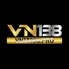 vn13888 pro's profile picture