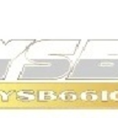 Ysb66 com's profile picture