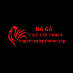 dagathomo top's profile picture