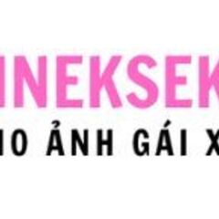 Ảnh gái xinh Sineksekiz's profile picture
