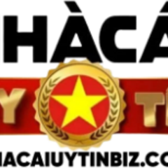 nhacaiuytinbiz biz's profile picture