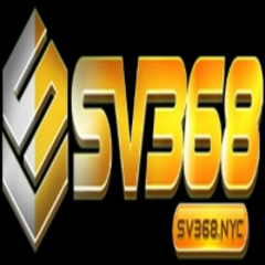 sv368 nyc's profile picture