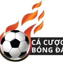 trangcacuocbongda salafoodtech salafoodtech's profile picture