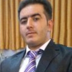 Naser Parchin's profile picture