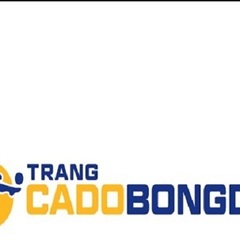 Trang Cá Độ Bóng Đá's profile picture