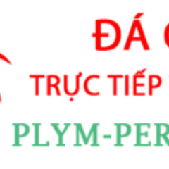 Đá Gà Trực Tiếp Thomo's profile picture