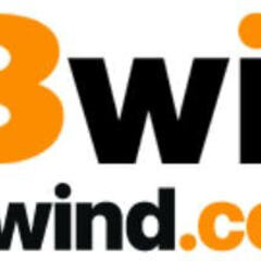 13windcom Com's profile picture
