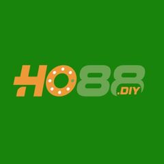 HO88 diy's profile picture