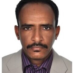 Ahmed Nassr's profile picture