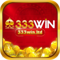 333winltd ltd's profile picture