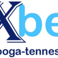 8xbet News's profile picture