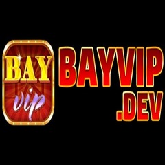 Bayvip dev's profile picture