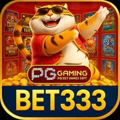 bet333 com's profile picture