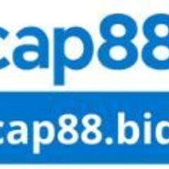 CAP88 BID's profile picture