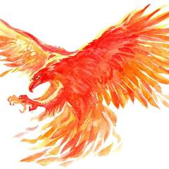 TM  Investigations's profile picture