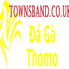 Đá Gà Trực Tiếp Thomo's profile picture