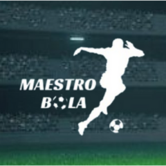 Maestro Bola's profile picture