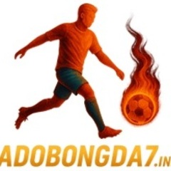 Cá độ  bóng đá's profile picture