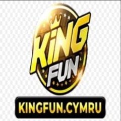KINGFUN cymru's profile picture