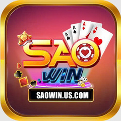 SAOWIN US's profile picture