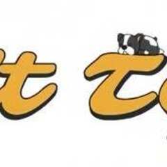 thức ăn  cho mèo's profile picture