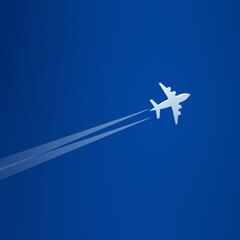 Terminals guides's profile picture