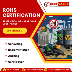 Birundha certvalue's profile picture