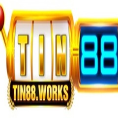 TIN88 WORKS's profile picture