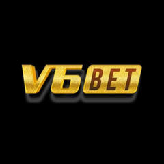 v6bet to's profile picture