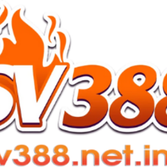 sv388 netim's profile picture