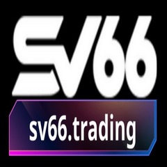 SV66 TRADING's profile picture