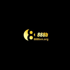 888B Org's profile picture