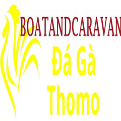 Đá Gà Trực Tiếp  Thomo's profile picture