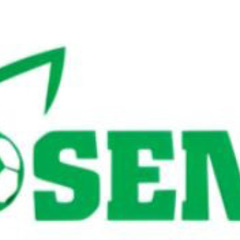 SEN88 .'s profile picture