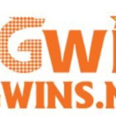 GGWIN Net's profile picture