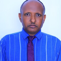 Yirga  Wondim's profile picture