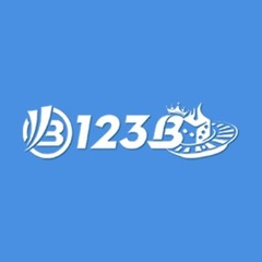 123b2org org's profile picture