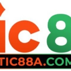 TIC 88's profile picture