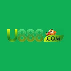 U888 netbr's profile picture
