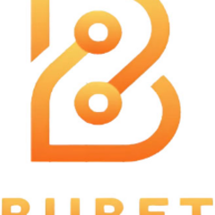 BUBETreport report's profile picture