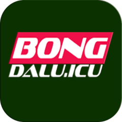 bongdaluicu icu's profile picture