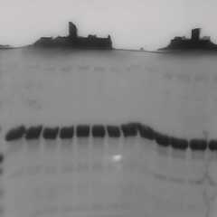 María Tosta Pérez's profile picture