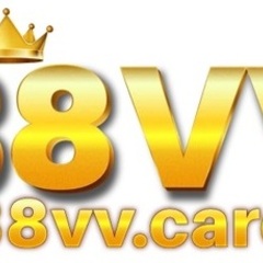 88VV care's profile picture