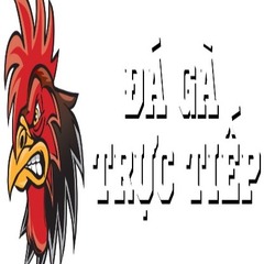Đá Gà Trực Tiếp's profile picture