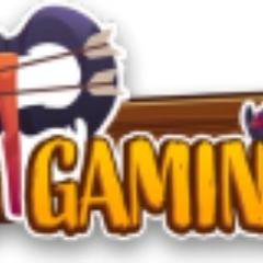 PPGaming  Official's profile picture